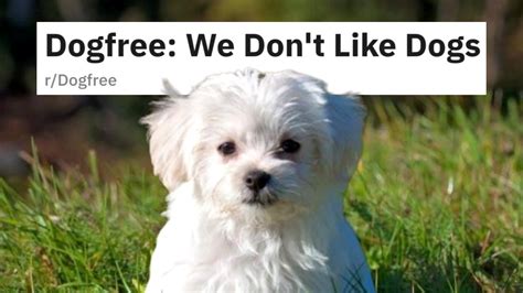 “<b>Dog free</b>” communities are the future. . Reddit dogfree